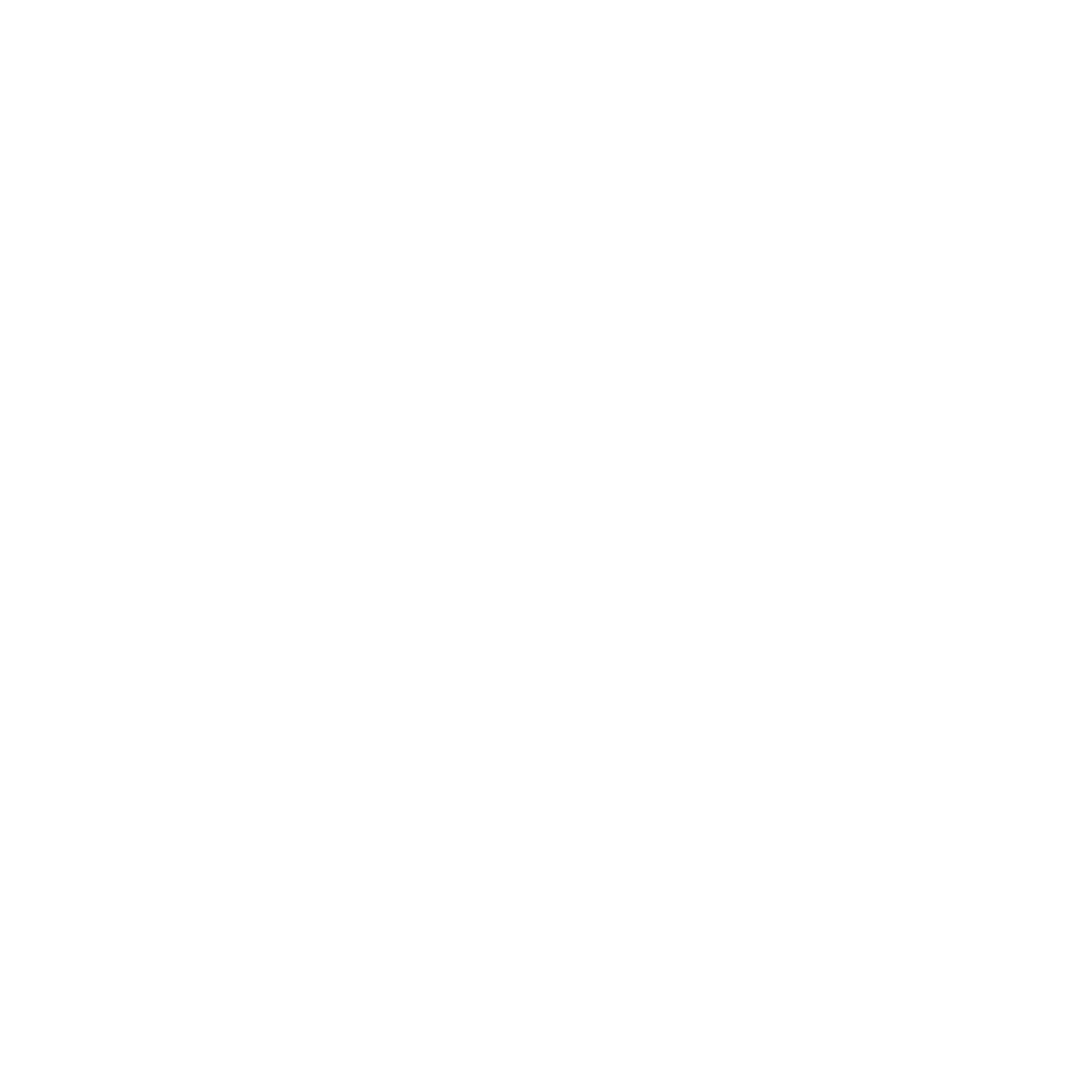 taranakiboldwhite Web Design - Taranaki Package