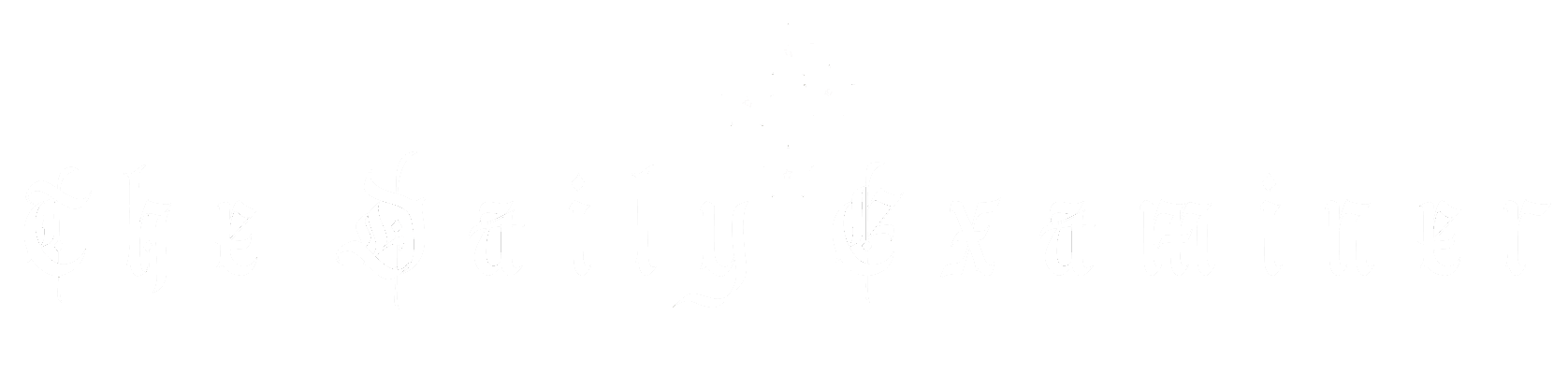 The Daily Examiner Logo
